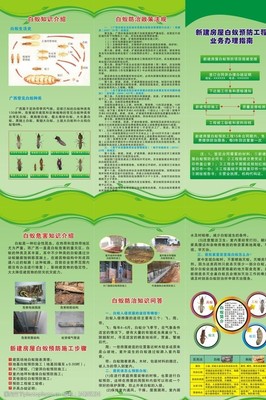 白蟻防治三折頁