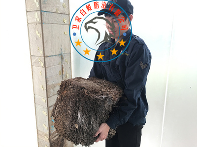 白蟻防治