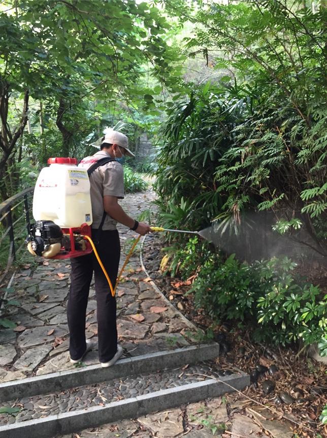 增城白蟻防治收費 興明白蟻防治 白蟻防治收費詢問報價