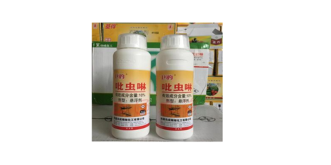 家里發現白蟻怎么辦?滅白蟻最有效的方法!