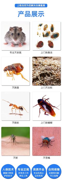 白蟻防治餐館滅四害