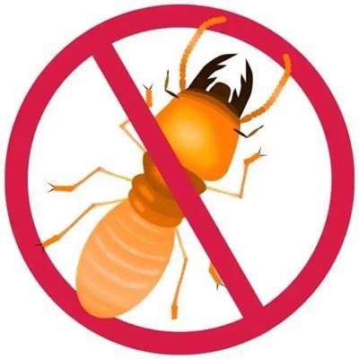 專業滅白蟻防治相關產品推薦