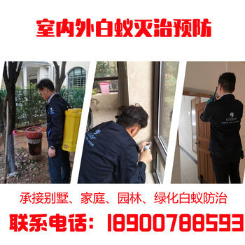 樹(shù)上有白蟻找湖南巨恒滅白蟻公司上門(mén)服務(wù)一次解決