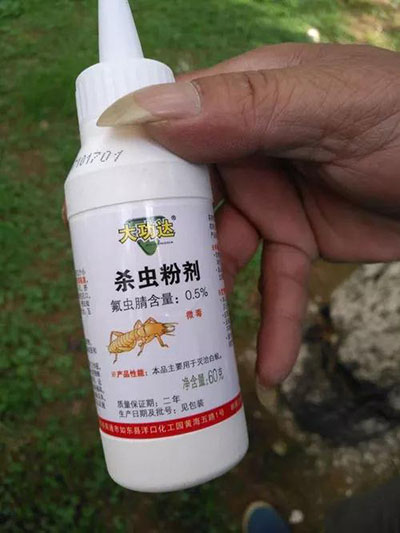 高效防治白蟻 共筑美好家園——房總物業(yè)白蟻防治正當(dāng)時(shí)|公.