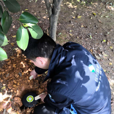 巨恒防護(hù)長(zhǎng)沙滅白蟻治白蟻公司,建筑工程白蟻防治