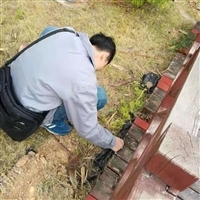 【白蟻防治】白蟻防治價(jià)格_白蟻防治廠家