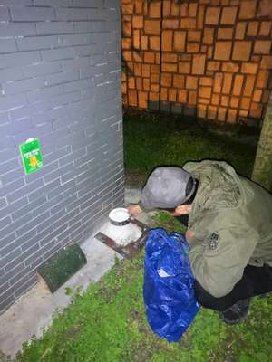 白蟻防治 簡(jiǎn)陽(yáng)社區(qū)白蟻防治服務(wù) 歡迎咨詢(xún)