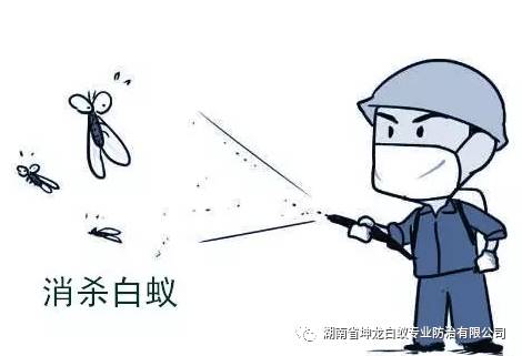 專業滅蟻公司告訴你,新房裝修一定先滅白蟻