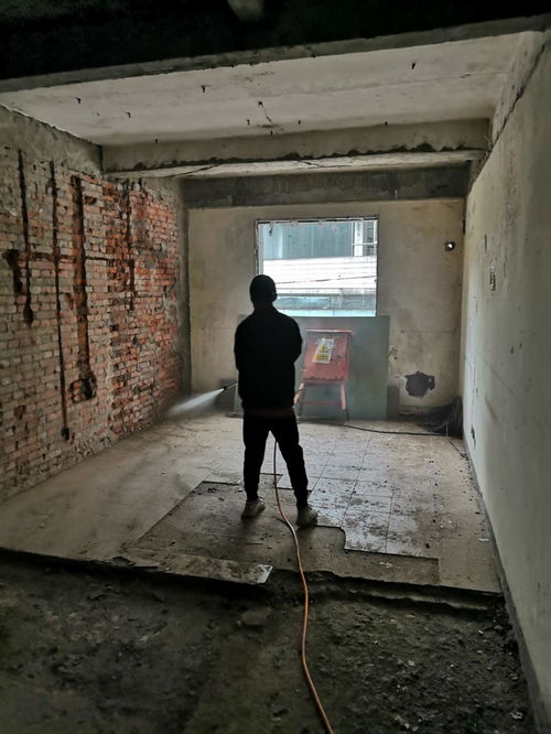 成都白蟻防治公司 八方資源網