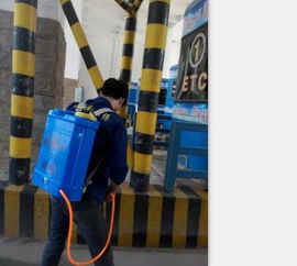 殺蟲滅鼠保格利控蟲 圖 除白蟻哪里好 白蟻