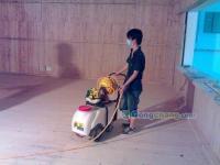 供應供應:珠海白蟻防治公司,專業白蟻防治-珠海創衛白蟻防治公司_印刷_世界工廠網中國產品信息庫