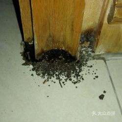 電話 地址 價格 營業時間 越秀區更多生活服務團購 廣州生活服務