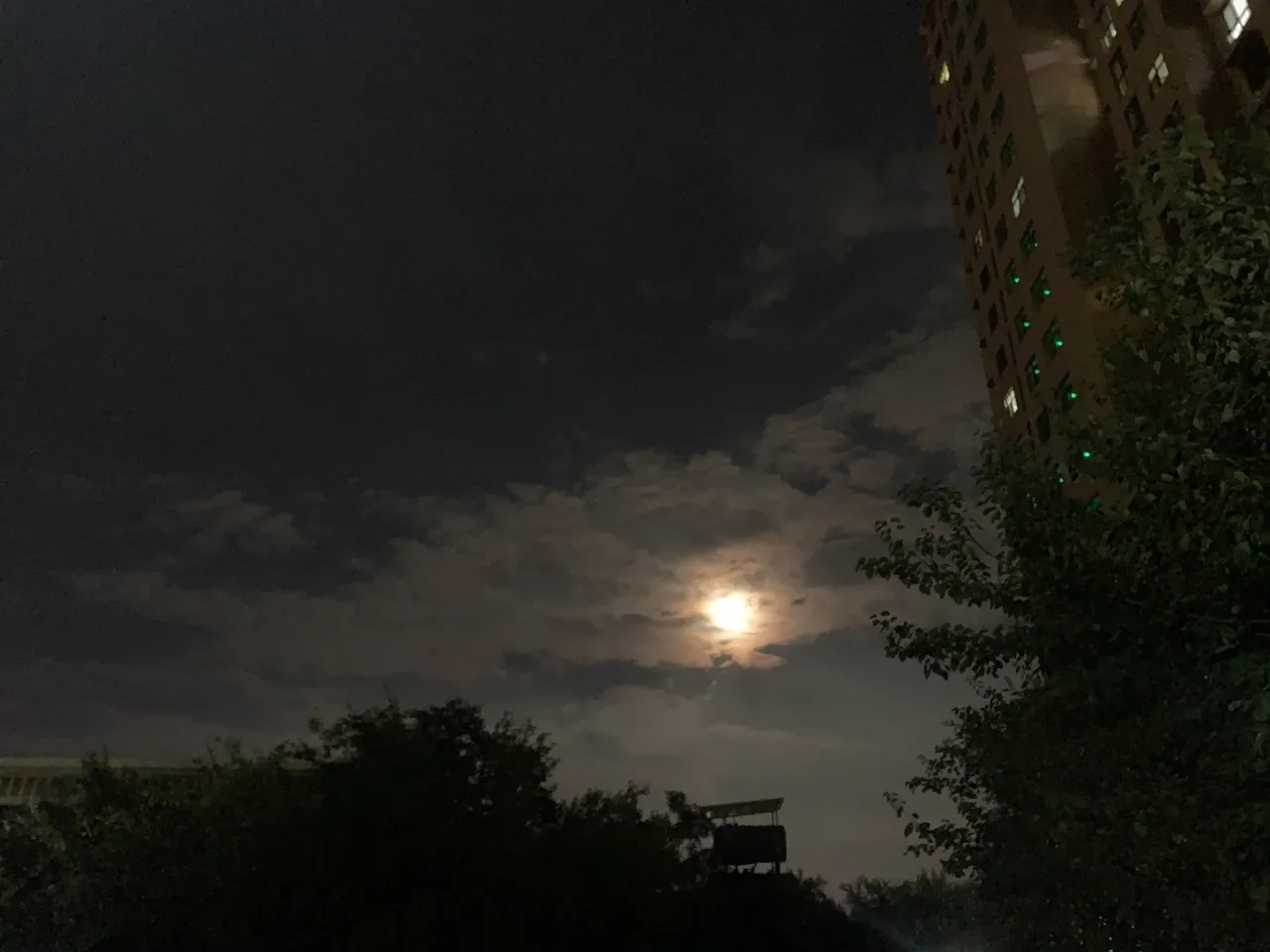 深圳市深房白蟻防治中心技術人員提醒各位市民,白蟻又稱白螞蟻,漲