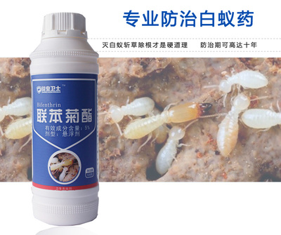 怎么滅鼠效果好?湖南戰蟲衛士幫你上門服務