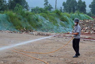 今年上半年 我市完成白蟻防治面積17.4萬平方米