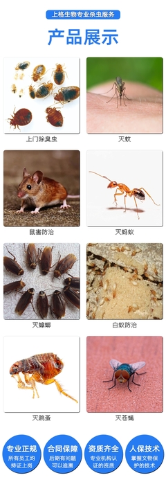 成都社區除四害消殺 成都消殺公司誰家好 成都餐廳驅蟑螂