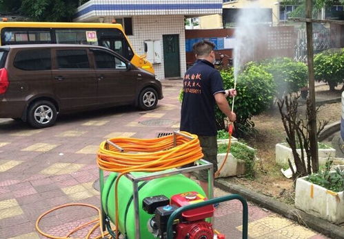 福州白蟻消殺電話 福州白蟻消殺 福州福玖白蟻防治價格