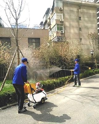 西安專業白蟻防治 西安滅白蟻公司 碧洋專業家庭單位滅白蟻