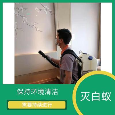 滅螞蟻 花都區(qū)工廠殺蟲施工
