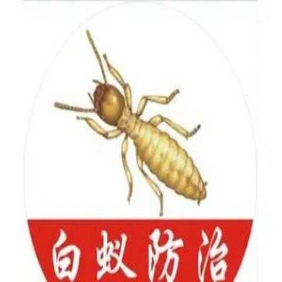 全南白蟻防治所 古建筑滅白蟻 消除隱患-環保無害