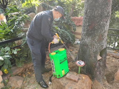 增城區增江白蟻防治清理白螞蟻上門公司-衛城全市快速上門質優價平