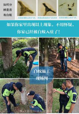 長沙滅白蟻公司為企業單位提供上門白蟻防治服務,長沙白蟻防治中心推薦