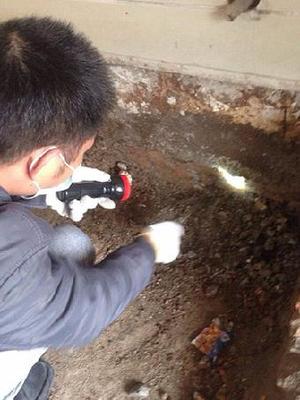 東莞白蟻防治,白蟻防治協會會員單位,質優價廉老品牌