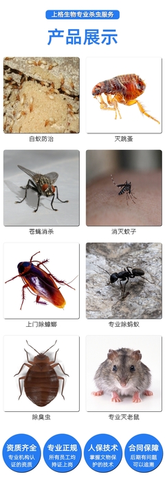 廈門滅鼠公司誰家好,廈門除蟑螂價格,廈門浴場消滅蟑螂