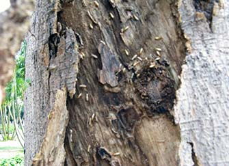 家裝智能系統有哪些 家裝智能系統好處介紹