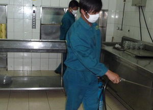 泉州老鼠防治 滅光老鼠