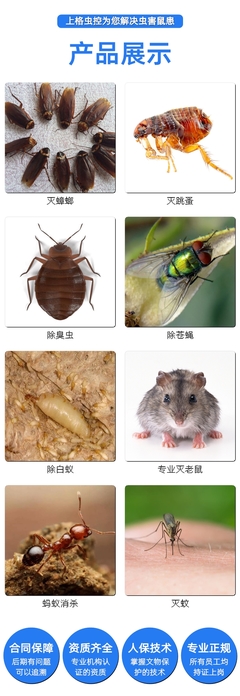 寧波浴場除跳蚤 寧波見效快的除蟲 寧波滅白蟻要價格