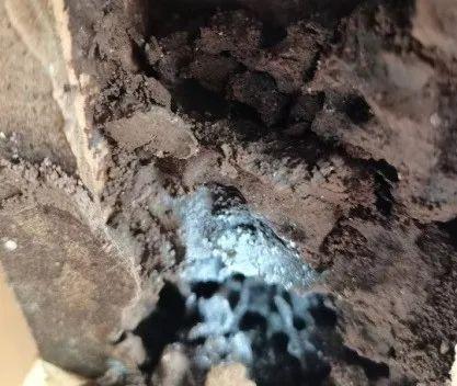 緊急提醒 多地爆發,浙江已經出現了......