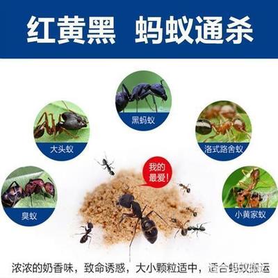 廣漢滅鼠,滅蟑螂,白蟻防治公司