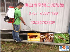 【黃岐除白蟻公司黃岐治白蟻黃岐滅白蟻黃岐?dú)⑾x黃岐滅鼠】-南海 南海周邊易登網(wǎng)