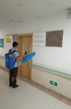 東莞黃江工廠除四害滅白蟻以效果看成果