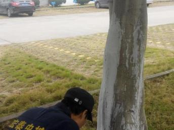 圖 科學城食品工廠房倉庫車間殺蟲滅鼠滅蟑除四害滅白蟻預防 廣州保潔 清洗
