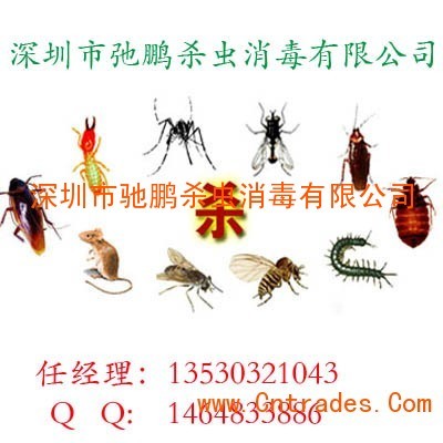 工廠白蟻防治,木質工廠白蟻防治,工廠白蟻防治報價