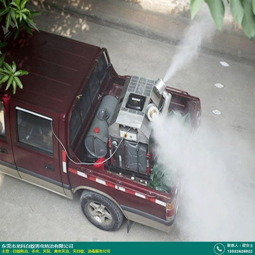 東莞學校白蟻防治哪家便宜 龍科白蟻 倉庫 上門 附近的 環保