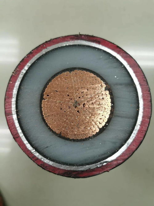 來吧,展示 山東電工電氣2021年55項新產(chǎn)品發(fā)布