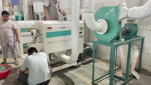 小麥脫皮機(jī) 麥仁加工機(jī)器 面粉廠食品廠用小麥去皮機(jī)