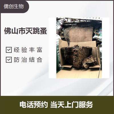 滅老鼠 南海白蟻防治工廠消殺公司電話