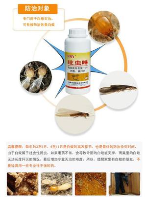 【家里有白蟻就用吡蟲啉,家中滅白蟻價格 長沙縣白蟻防治所推薦使用滅白蟻藥產(chǎn)品】價格_廠家_圖片 -