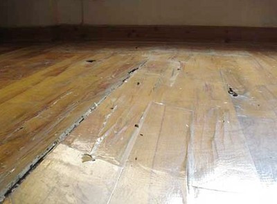 【黑鰻魚】_黑鰻魚價格_黑鰻魚批發_黑鰻魚供應商-搜了網黑鰻魚產品搜索