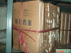 家里有白蟻在么殺死 楚天蕙蘭 已認證 黃陂家里有白蟻