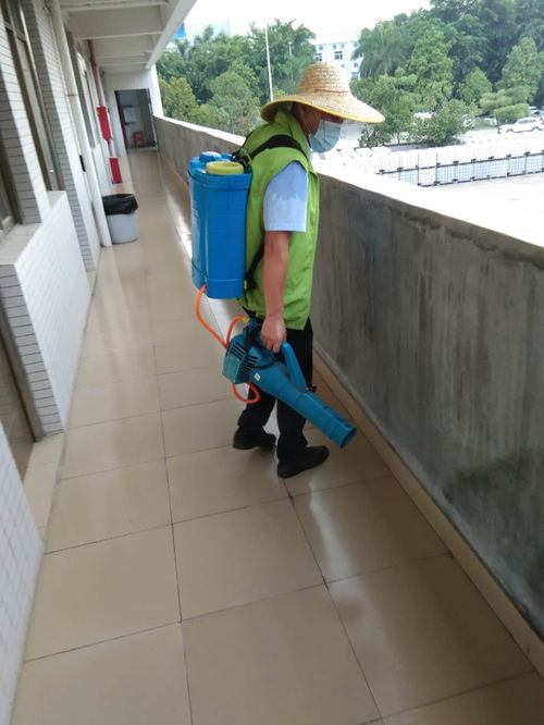 企石工廠宿舍有白蟻怎么辦怎么滅白蟻