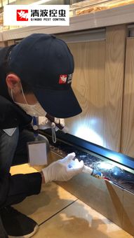 專業食品工廠 醫院 學校 酒店 蟲鼠害防治消殺管理