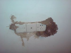 供應供應百榮園專業殺蟲、廣州幫幫白蟻防治、小區四害防治所、廣州滅鼠公司_安全防護_世界工廠網中國產品信息庫