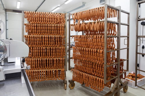 某食品廠的肉制品廢水如何處理 穩定達標才是目的,改造成功