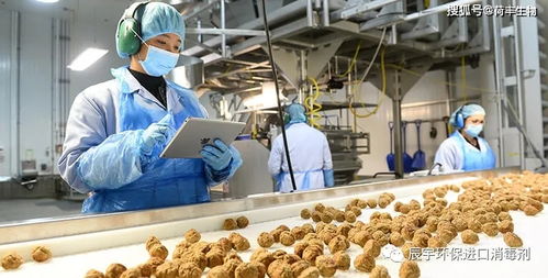 食品廠空氣霉菌孢子污染與白蟻防治的綜合消毒策略